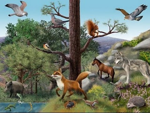 Huxley populariza el concepto de "nicho"