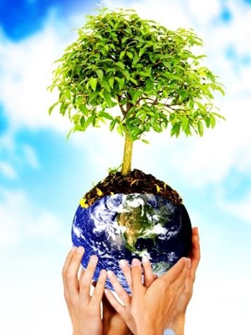 Conferencia de las Naciones Unidas sobre el Medio Humano