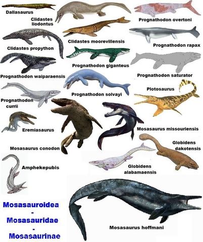 La conquista de los océanos