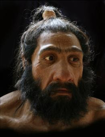 Homo heidelbergensis