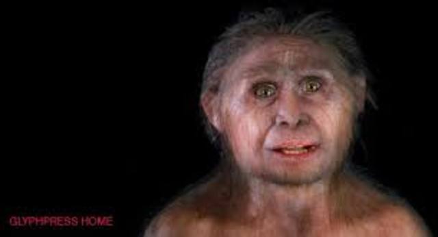 Homo floresiensis