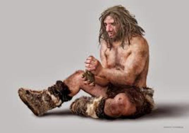 Homo neanderthalensis