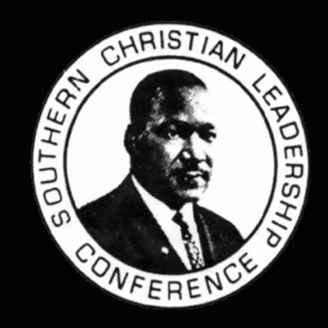 Martin Leads The Pack