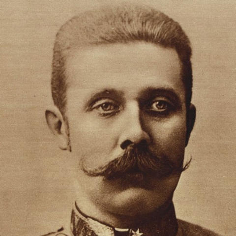 Assassination of Archduke Franz Ferdinand and his wife