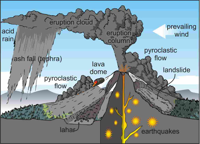 Cambrian Period 570-500 MYA