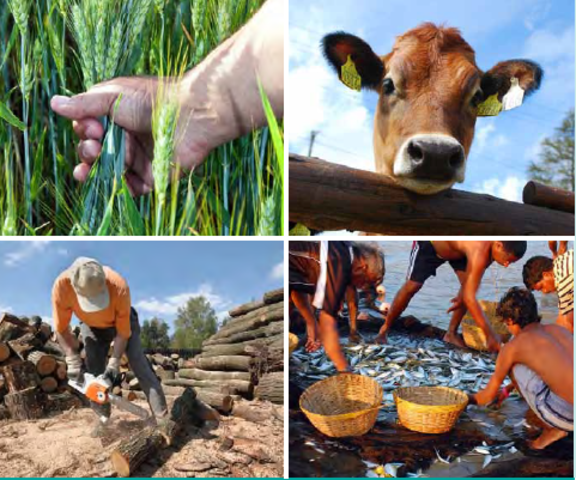 decreto 2100 de 1995