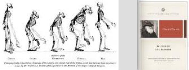 La ascendencia del hombre