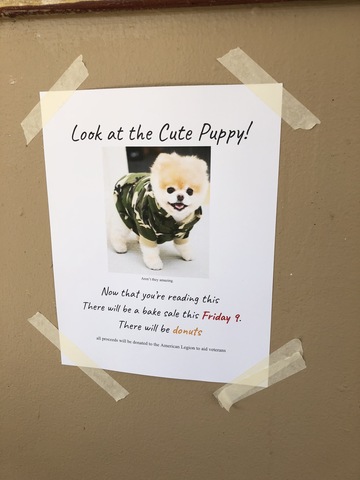 Setting up the Posters