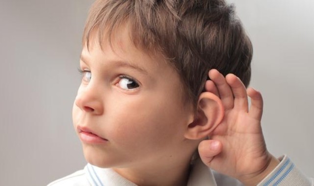 Johnson y Myklebust.