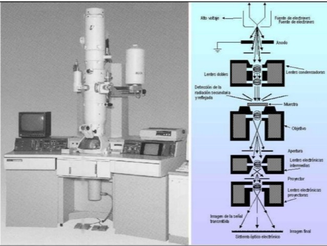 Microscopio Electrónico