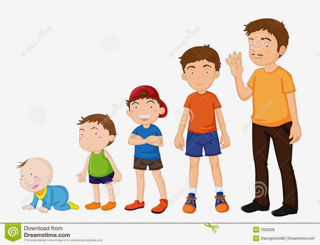 desarrollo y crecimiento