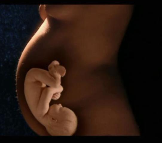 estimulación temprana