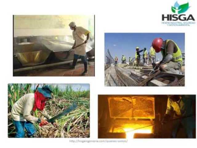 decreto 2090 de 2003