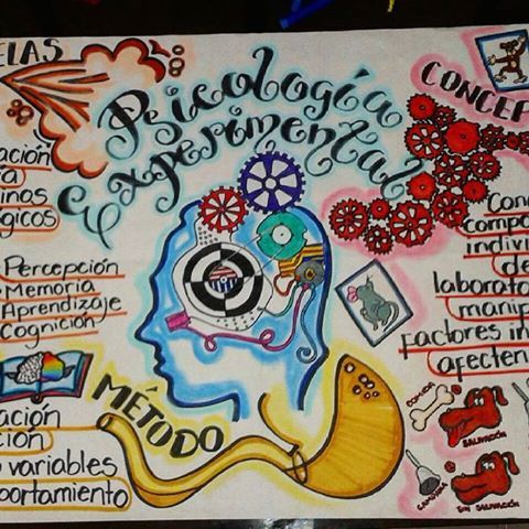 Instituto de Psicología Experimental