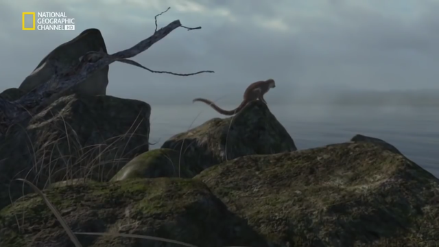 Los mamíferos evolucionan