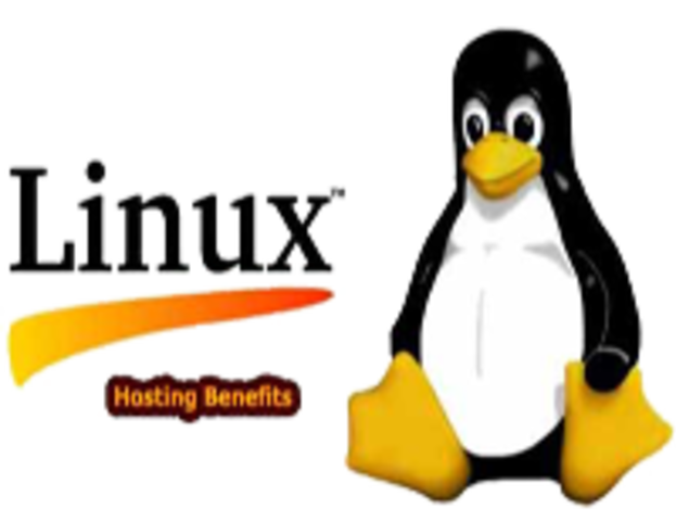 Nace LINUX