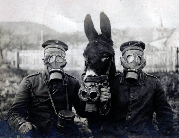 Armas químicas y biológicas