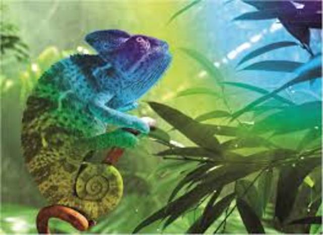 Thomas Malthus,naturalista britanico Alfred Wallace y teorias de Robert Malthus