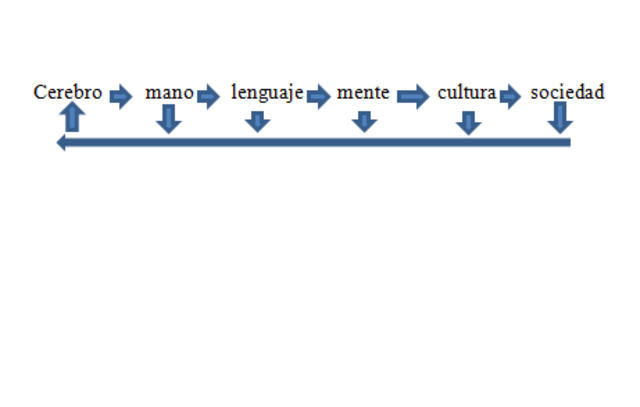 PROCESO DE HOMINIZACIÓN (2)