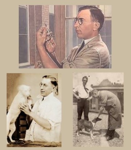 Descubrimiento de la insulina