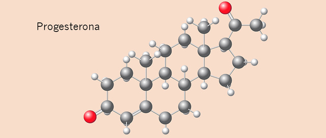 Se logra la síntesis de la progesterona.