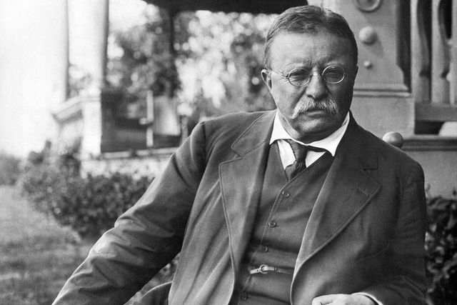Theodore Roosevelt
