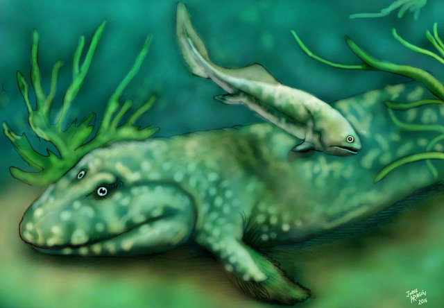 Primer pez bajo el mar