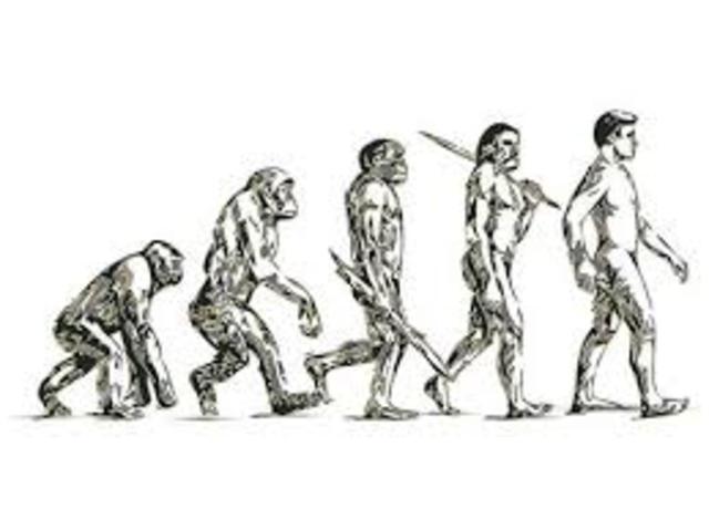 Evolución