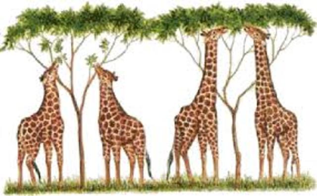 inmutabilidad de las especies