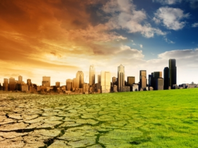 Ecología y Actualidad