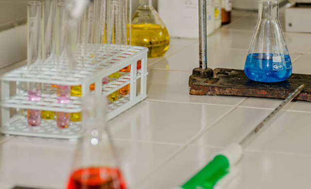 Técnico en Procesos de Extracción de Biomasa Energética