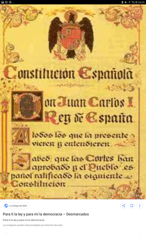 Democracia i constitució