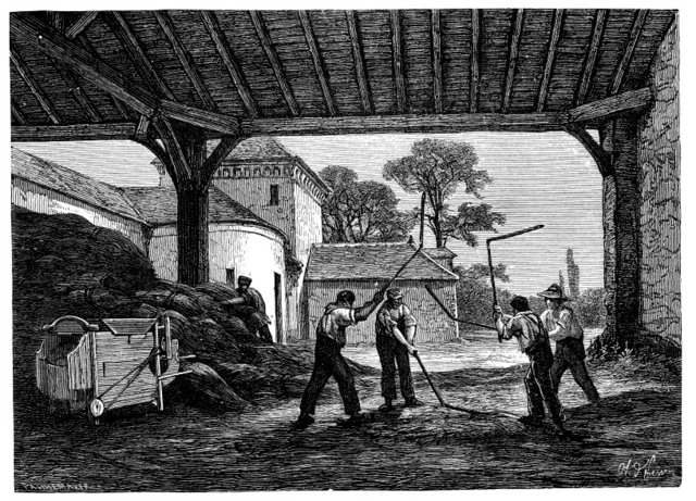 PROLETARIADO, alguien sabe quien soy?