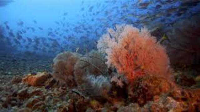 videos en alta definición