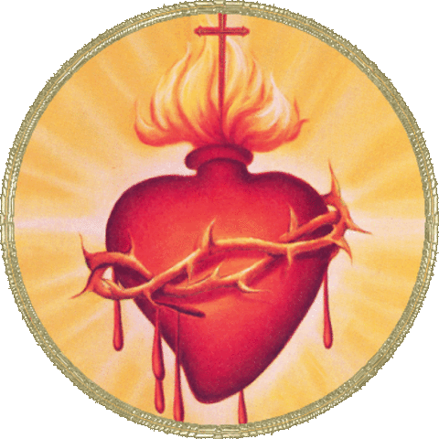 San Juan Eudes inicia como novicio