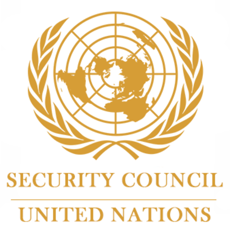 Consejo de Seguridad de la ONU.