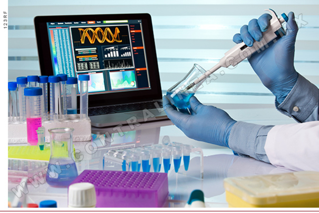 Programa sectorial de educación