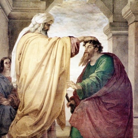 ORDENAMIENTO DE SAN JUAN  EUDES