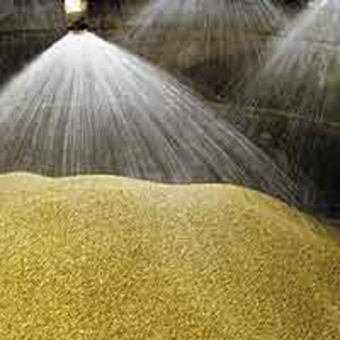 Remojo y germinación