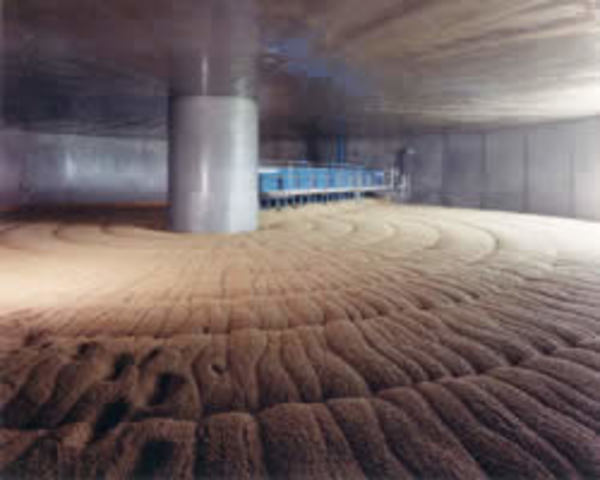 Molienda de la malta