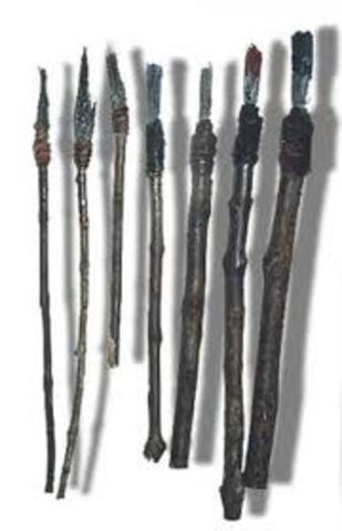 Etapa doméstica/ Pincel