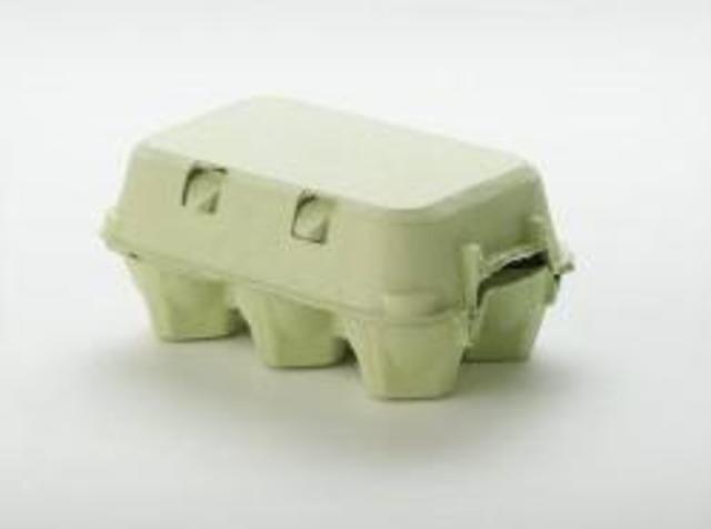 Cartón de huevos (Domestico)