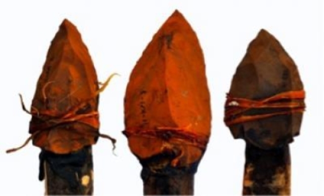 The Indigenous People