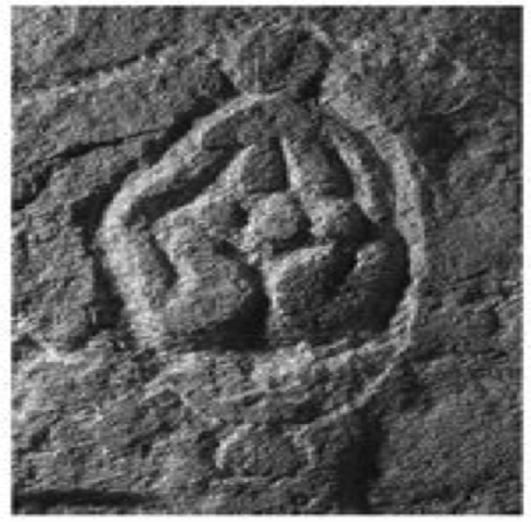 PREHISTORIA. PALEOLITICO MEDIO