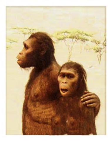 PREHISTORIA. NEOLITICO