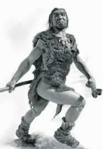 Etápa domestica - Vestido