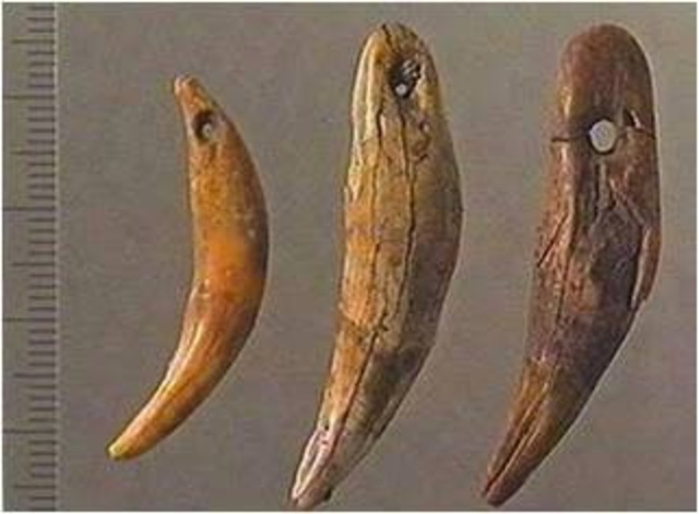 ETAPA DOMESTICA/ AGUJA