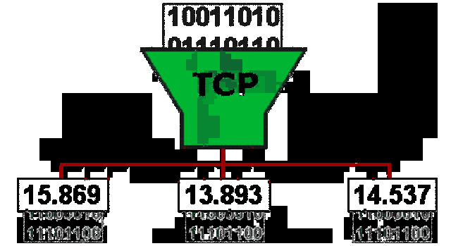 Protocol tcp
