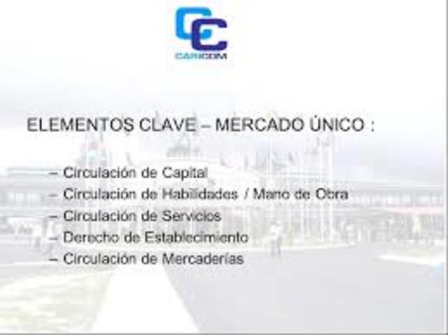 establece mercado unico