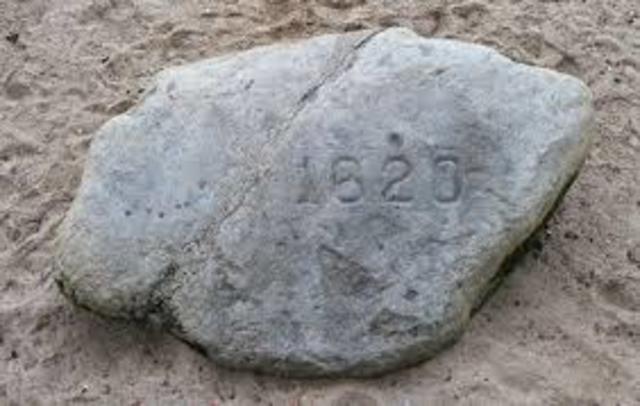 Plymouth rock